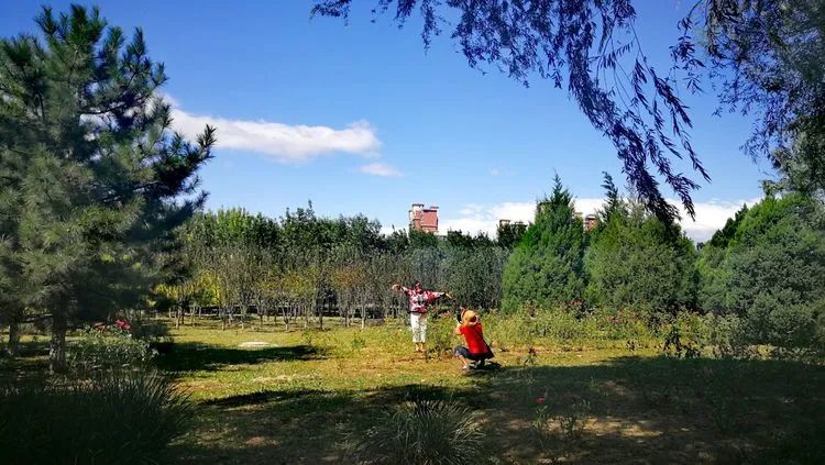 昌平哪个地方的公园最好,昌平区主要公园及景点