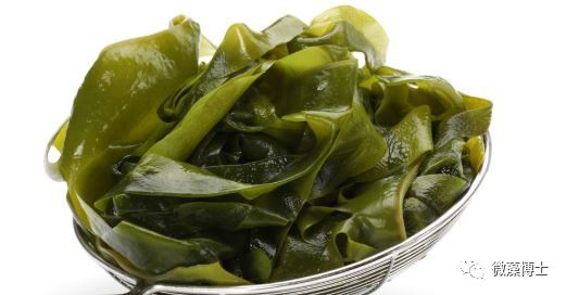 吃海藻类食物有什么好处,吃海藻芽的好处