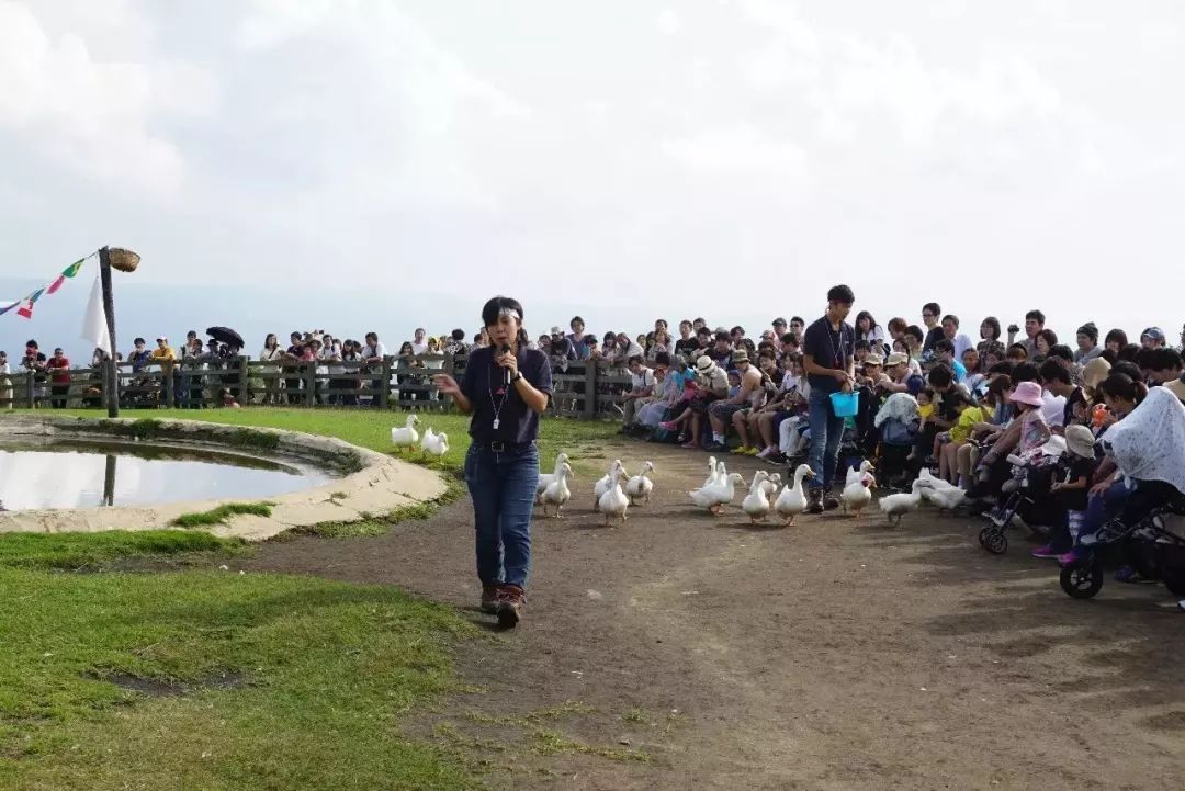 日本生态农业庄园,日本田园农场排行榜