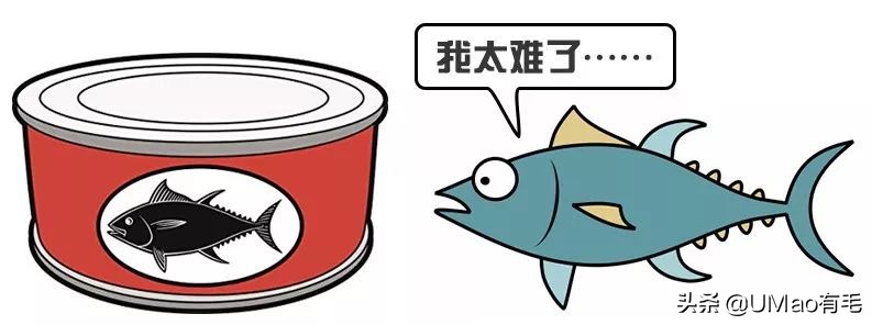 零食罐和主食罐吃哪个,主食罐零食罐