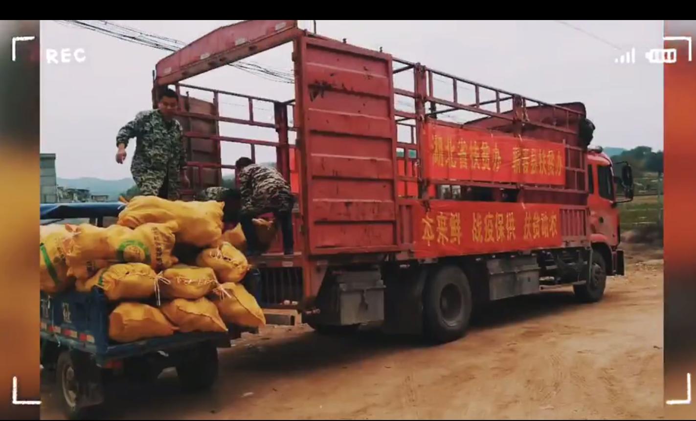 战疫扶贫,抗疫快进键