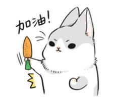 测了两百多支洗面奶,测试了14款洗面奶