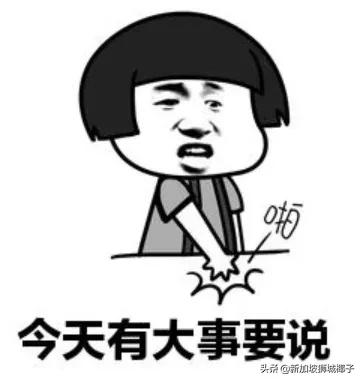 新航会降价么,新航恢复航线