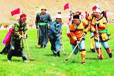 中国56个民族知识大全书籍,关于中国56个民族的知识