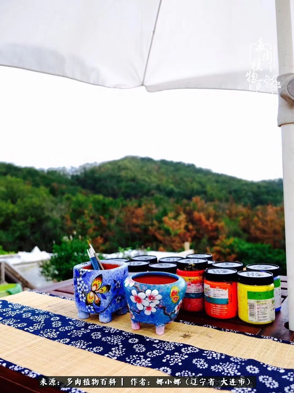 你是盆我是花，你护我周全，我为你绽放