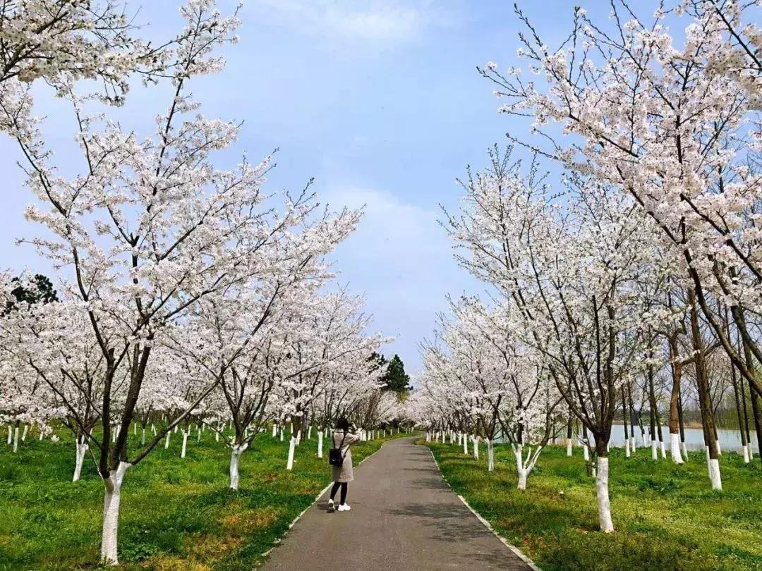 清明去哪儿玩|盘点那些值得打卡的北京周边小众景点！