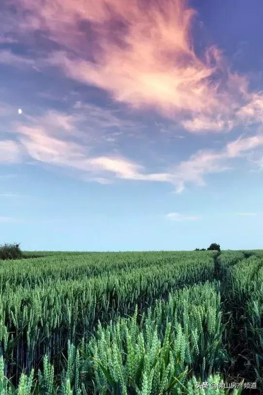 天边飘过故乡的云下句诗词,天边飘过故乡的云女声完整