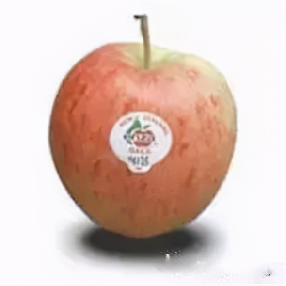 新西兰苹果好吃吗价格贵吗,新西兰苹果品种哪种最好吃