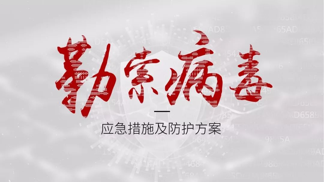 勒索病毒应对处理方法,勒索病毒的危害与防护措施