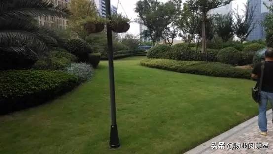 小区绿化养护一般做哪些工作,小区绿化养护需要什么资质