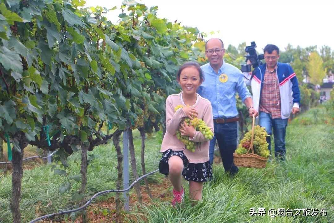 张裕卡斯特酒庄研学,探秘研学活动