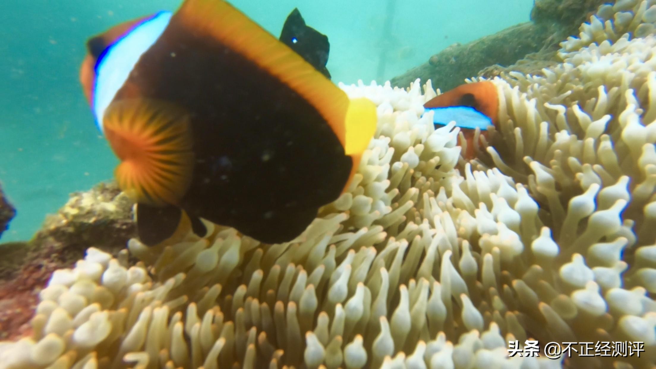 巴厘岛旅行2天,巴厘岛旅行第二天视频