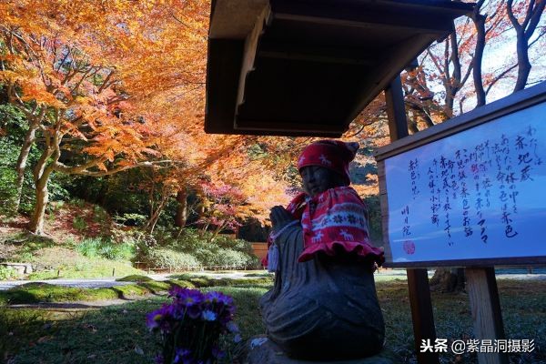 700年历史的日本小寺,为了看秋叶要买两次票,一次比一次贵