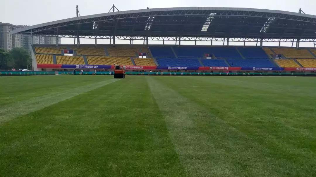 双流体育中心近期新闻,双流体育中心最近有什么活动