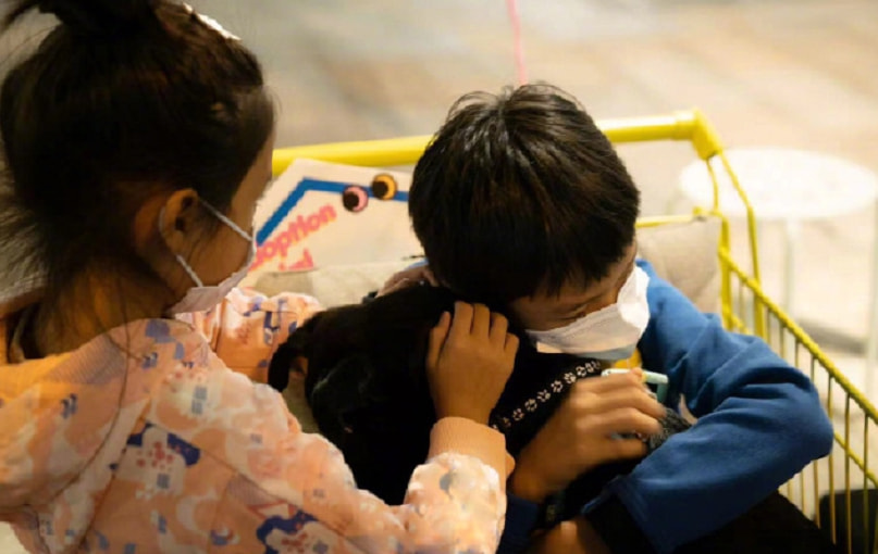 孙俪低调带儿女路边摆摊，收入全部用于流浪动物救助，满满正能量