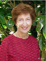 红火箭分级阅读科普,红火箭分级阅读有视频吗