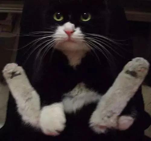 糖尿病患者胆囊炎胰腺炎同时出现,胆囊结石胰腺炎糖尿病