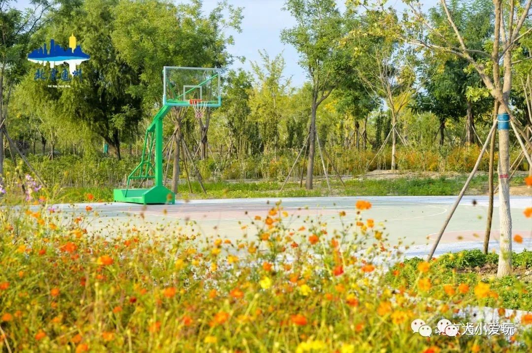 北京大型室内儿童游乐场,北京露天游乐场地设计