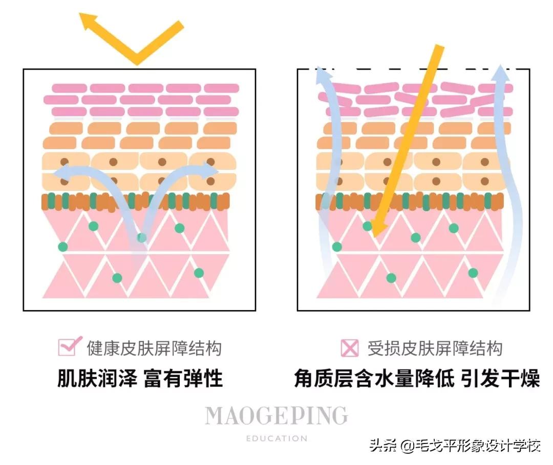有哪些别人信以为真的护肤谣言,越来越丑的十大护肤谣言