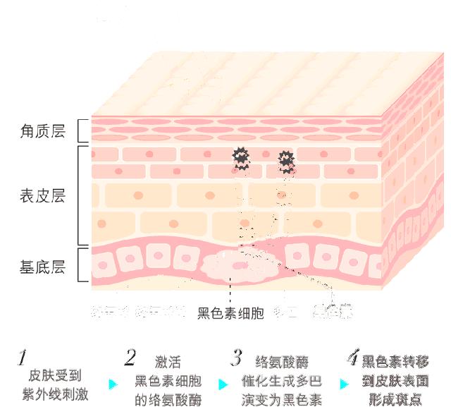 日本女生美白方法,日本美女美白皮肤