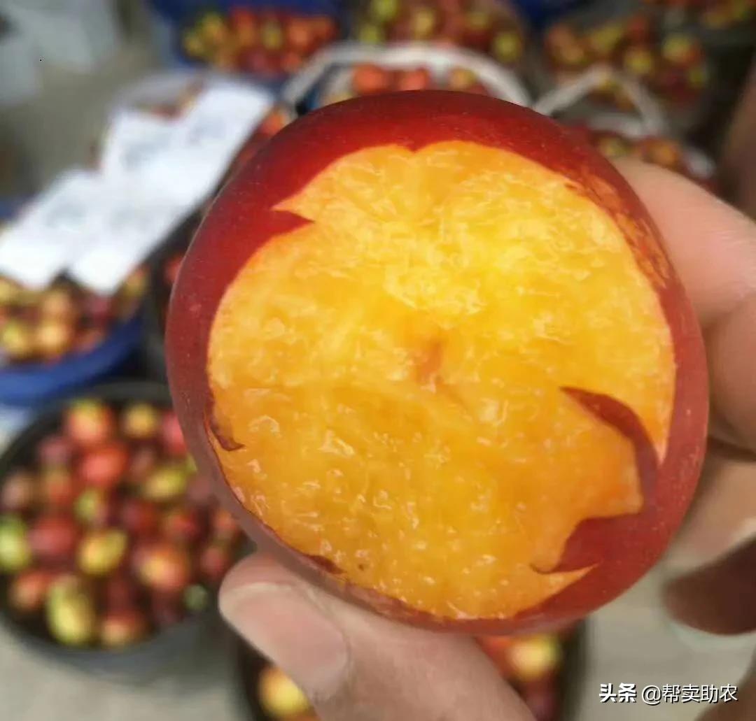 油桃脆甜多汁爽口,一口下去黄桃果肉绵密清爽冰沙