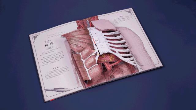 看病时不知道怎么说,看病是不是全部不舒服都要说