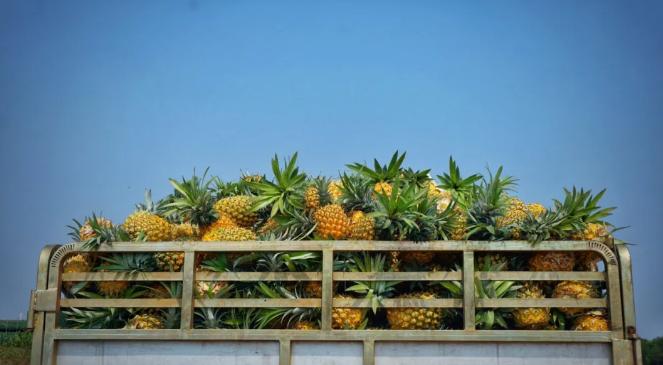 最近旅游好去处推荐,周边好玩的地方推荐一日游