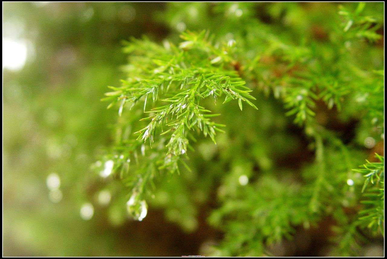 户外驴友生存技巧,驴友在水源地野游