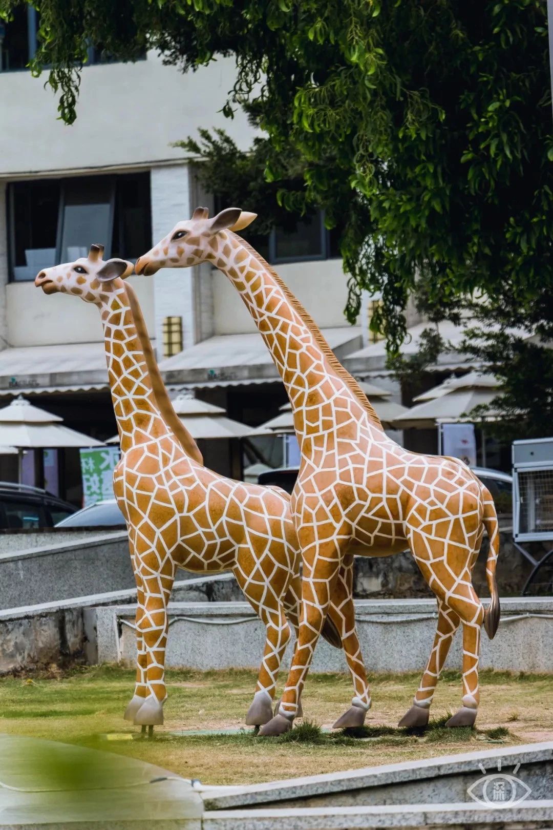深圳十个小众打卡地,在深圳这些地方既小众又值得打卡