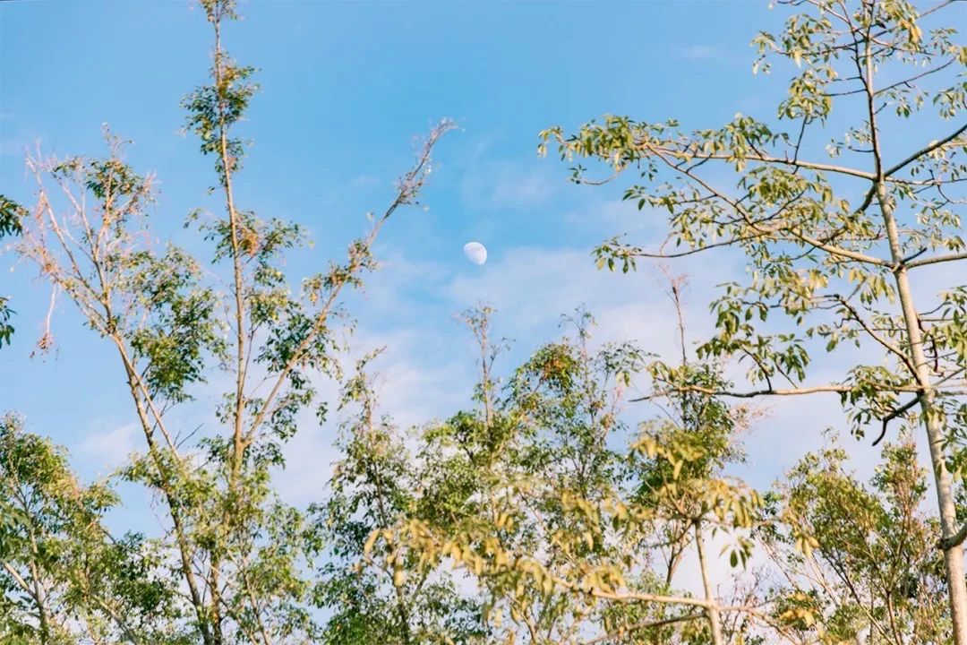 最美湖泊小众风景,最美湖泊西湖