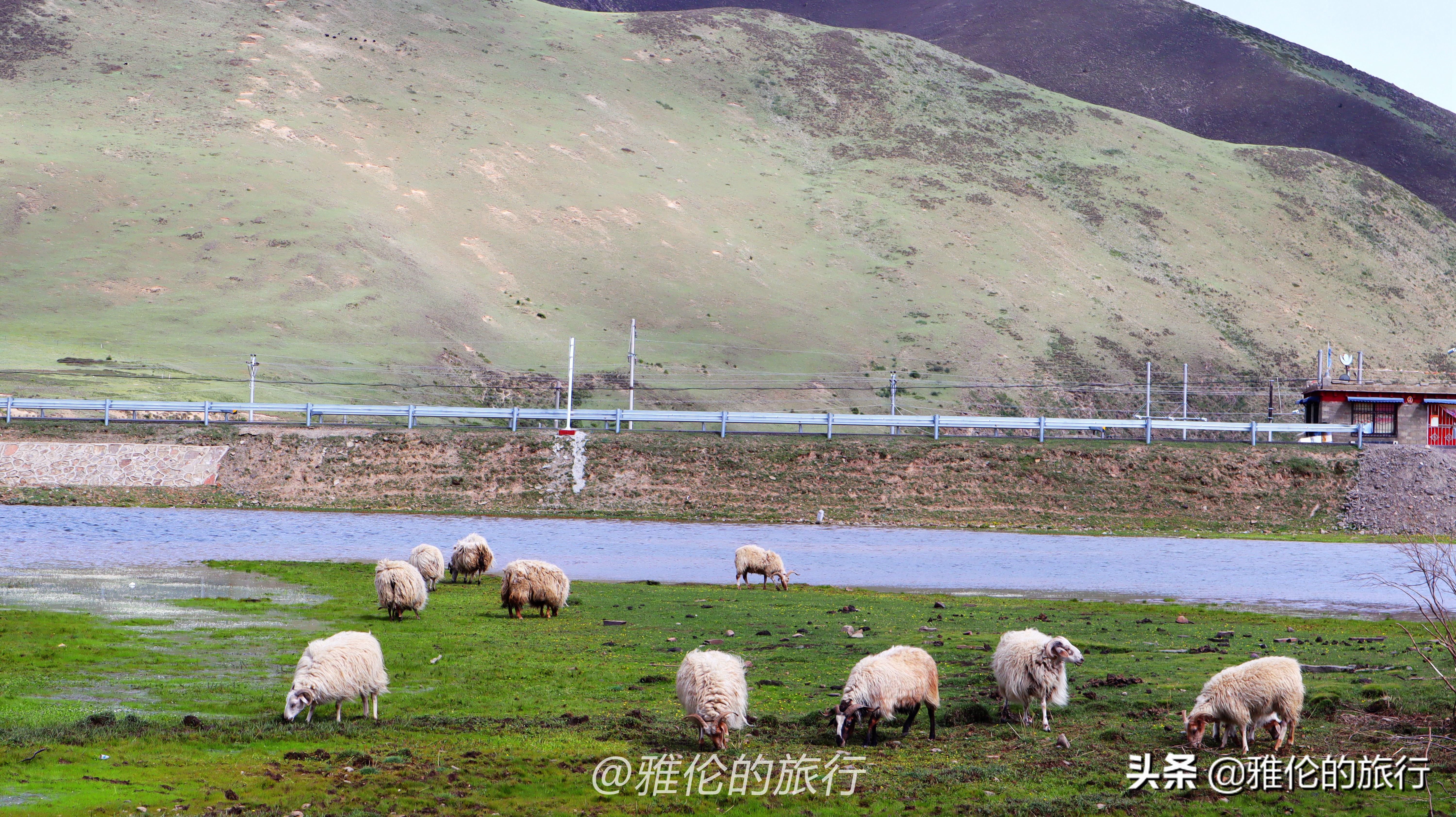 理塘世界最高的城市,世界最高城理塘海拔4000米