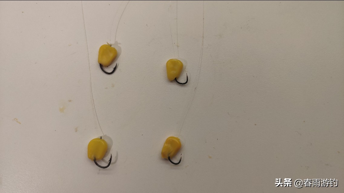 玉米挂钩的正确钓法,反底钓玉米如何挂钩