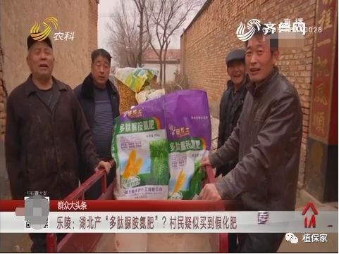 “忽悠团”卖化肥,十里八村都上当!一当更比一当强