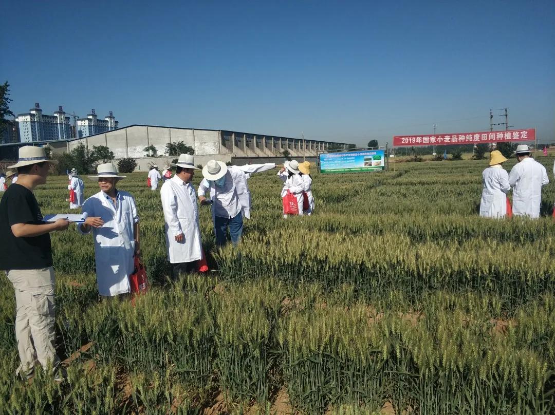 鑲ヤ埂娌冨湡绉嶄笟,鑲ヤ埂娌冨湡绉嶄笟鏈夐檺鍏徃鍦板潃