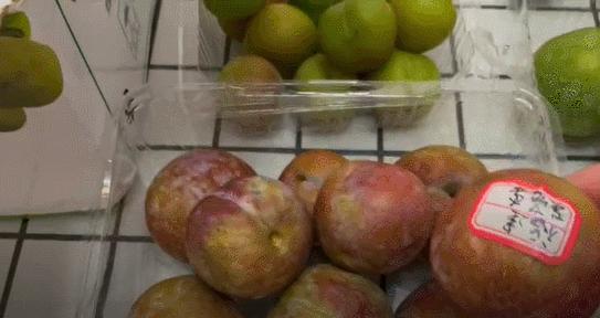 李子柒测评黄桃罐头,正宗蜂糖李子几月份成熟