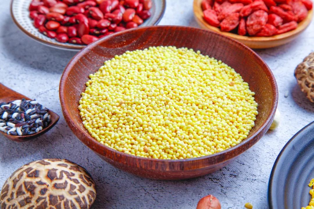 五谷丰收中的五谷指什么,五谷杂粮五谷丰收是哪五谷