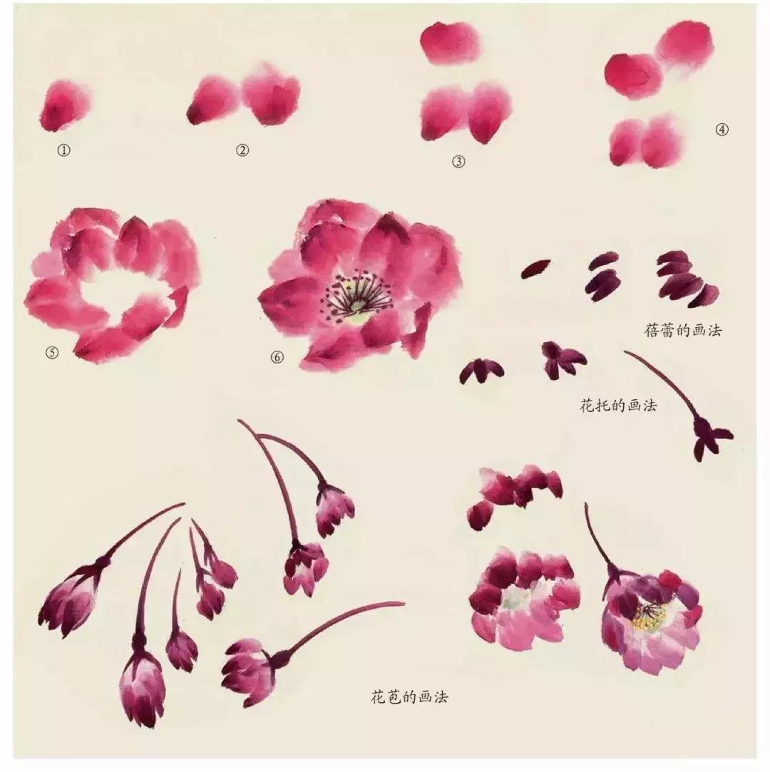 国画中各种花卉的画法,国画花卉画法步骤视频教程