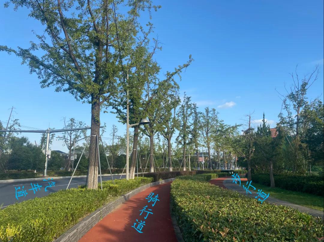 上海比较落后的地方,上海最落后的几个地方