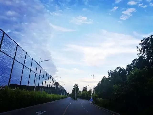 辽宁中医药大学杏林学院规模,辽宁中医学院杏林学院的排名