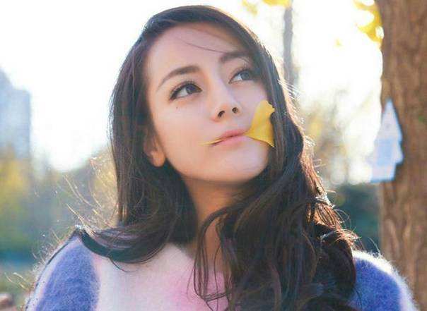 移动互联网时代的偶像工业，偶像的重新发明与粉丝身份的虚拟转向