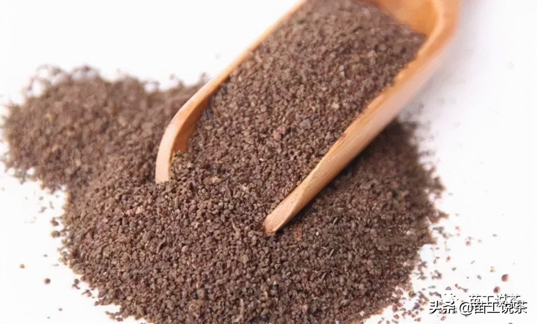 正山小种的茶文化知识,正山小种茶知识大全