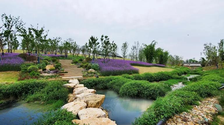 世界第一3d打印桥,中国最大3d打印桥视频