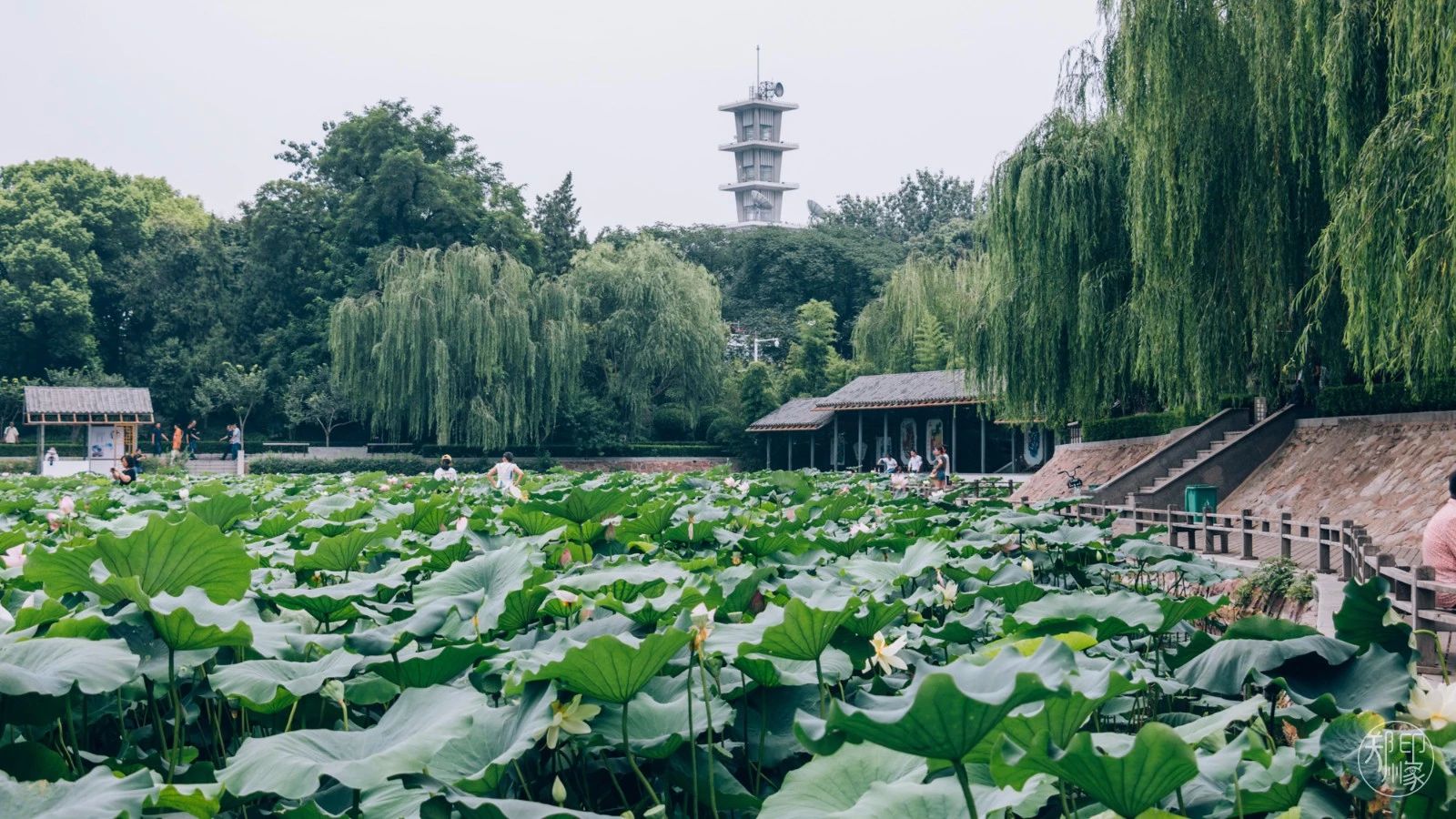 郑州长寿山旅游景点免费开放,郑州只有河南景点免费吗