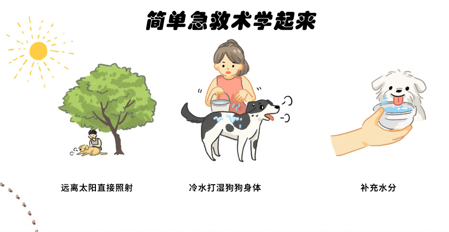 中暑怎么给狗狗快速降温,狗狗到了夏天中暑一直喝水怎么办