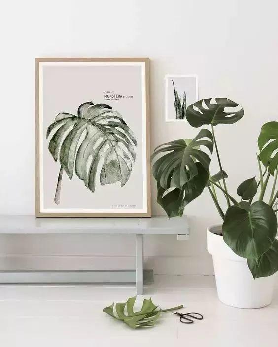 乏味的生活被你治愈,解决平庸枯燥乏味生活的办法