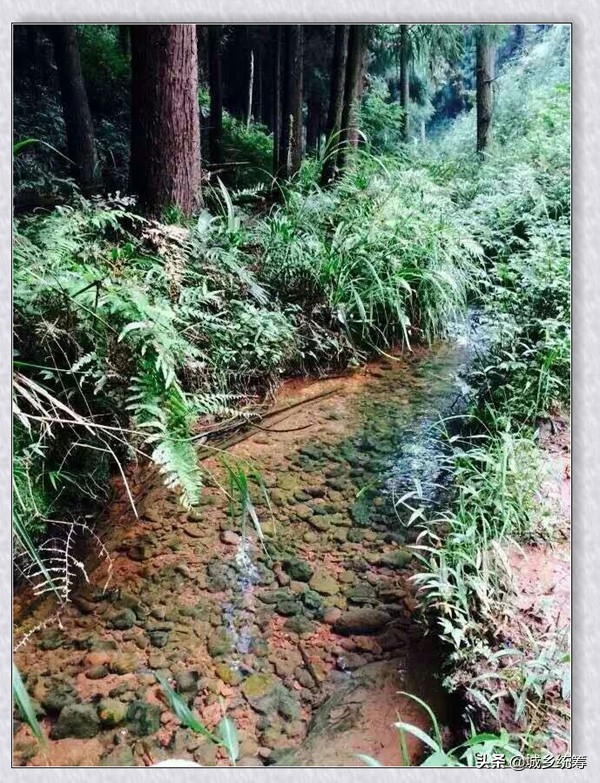 江津区中山镇石天井兄弟农家乐休闲避暑好去处