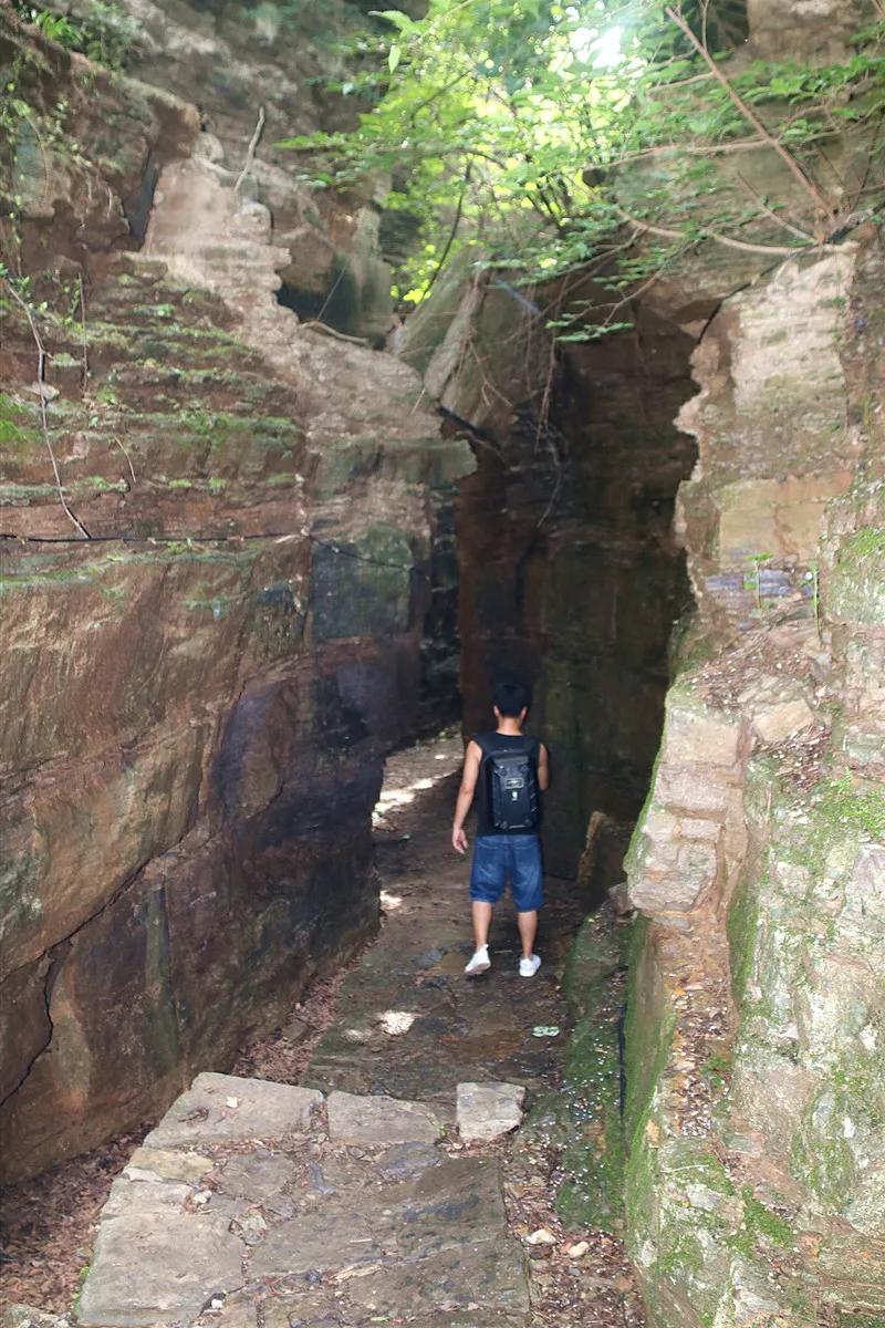抱犊崮门票半价政策,中考生福利重庆
