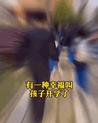 南山区外国语学校(集团)VS太子湾育才、深圳湾学校孰优孰劣