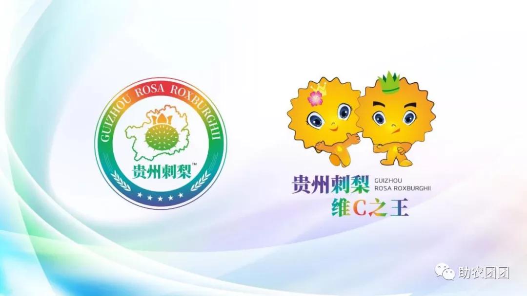 助农团团花溪直播,刺梨原汁精品