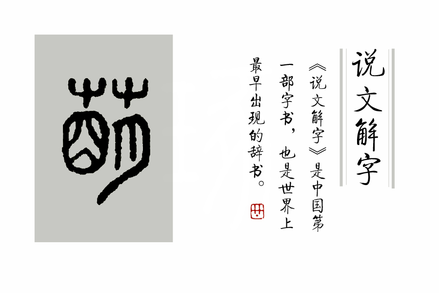 汉字说：“萌”和“芽”的区别是什么？